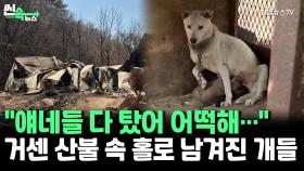 [씬속뉴스] 