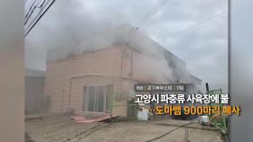 [영상구성] 고양시 파충류 사육장에 불…도마뱀 900마리 폐사 外