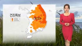 [날씨] 전국 대부분 건조특보…강풍에 산불 비상