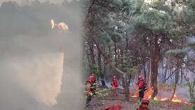 산불 났던 대구 함지산서 이틀째 잔불 정리…부분 재발화에 주민 불안도