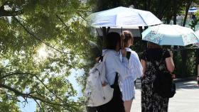 [센터웨더] 봄철 안개주의보…낮 최고 29도