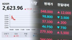 '반도체 훈풍'에 코스피도 상승세…2,620선 웃돌아