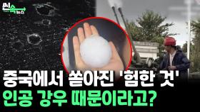 [씬속뉴스] 중국에서 자꾸 쏟아지는 대형 우박에 '초토화'…기현상 '인공 강우' 탓?