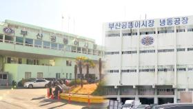 부산공동어시장 현대화 본격화…건설사 3곳 입찰 경쟁