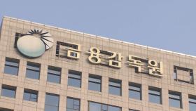 금감원 