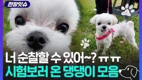 [현장잇슈] 