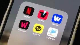 넷플릭스 가면 뜬다?…콘텐츠 블랙홀 우려도