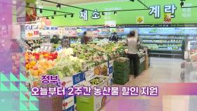[슬기로운생활뉴스] 정부, 오늘부터 2주간 농산물 할인 지원
