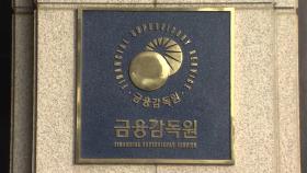 금감원 