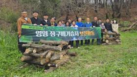 영양군, 산불 피해지에 '곤충호텔' 설치…