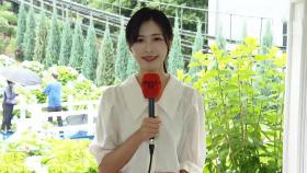 향긋한 여름 향기…울산서 장생포 수국 페스티벌