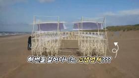 [영상구성] 해변을 걸어다니는 나무 생명체의 정체는?