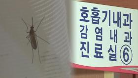 전북서 올해 첫 뎅기열 환자 발생…'해외여행 주의'