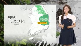 [날씨] 밤까지 내륙 곳곳 소나기…내일 30도 안팎 무더위