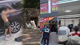 [사건사고] 현역 군인 등 반려견에 비비탄 난사 논란…