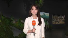 국내 최초 사진 특화 공공 미술관…사진 예술 즐겨요