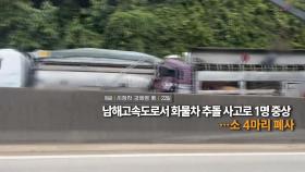 [영상구성] 남해고속도로서 화물차 추돌 사고로 1명 중상…소 4마리 폐사 外
