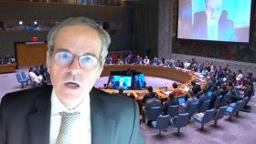 IAEA 수장 