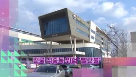 [슬기로운생활뉴스] 전국 식중독 위험 '빨간불'