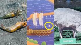 [핫클릭] ‘새우 익고 옥수수는 팝콘처럼 부풀어’…中 폭염 초비상 外
