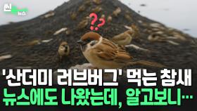 [씬속뉴스] AI에 자꾸만 속는 인간들…언론도 진짜처럼 인용했다
