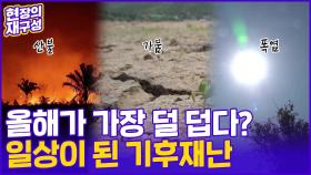 [현장의재구성] 올여름이 가장 덜 덥다?...더하면 더했지 결코 덜하지 않을 기후재난