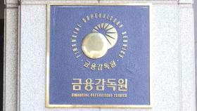 금감원, 온투업 현장점검…'대출규제 풍선효과 우려'