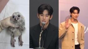 [핫클릭] 전북대, 멸종위기종 올빼미 자연 방생 外
