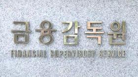 금감위? 금소원?…조직개편 장고에 정책 공백 우려