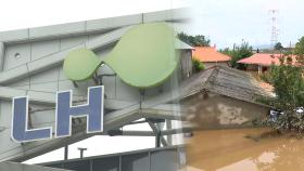 LH 