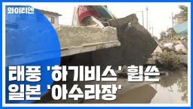 역대급 태풍 '하기비스'가 남긴 상처...일본 '아수라장' / YTN