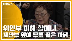 [자막뉴스] 위안부 피해 할머니, 재판부 앞에 무릎 꿇은 까닭