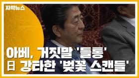 [자막뉴스] 아베, 거짓말 '들통'...일본 강타한 '벚꽃 스캔들'