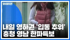 [날씨] 내일 영하권 '입동 추위'...충청·영남 한파특보 / YTN