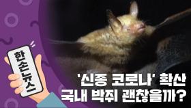 [15초뉴스] '신종 코로나' 확산...국내 박쥐는 괜찮을까?