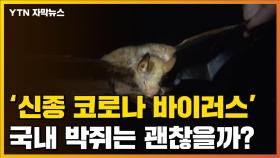 [자막뉴스] '신종 코로나 바이러스' 국내 박쥐는 괜찮을까?