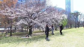 [날씨] 봄기운 물씬, 서울 18℃...큰 일교차 주의