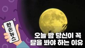 [15초뉴스] 오늘 밤, 당신이 꼭 달을 봐야 하는 이유