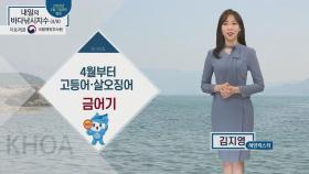 [내일의 바다낚시지수] 4월 8일 서해안 나쁨지수인 곳 많아..반면 남해안 대부분 '보통'