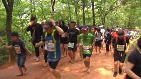 [대전/대덕] 계족산 맨발축제 전격 취소