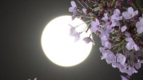 [영상] 올해 가장 큰 보름달 '슈퍼문'