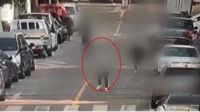 [영상] 강도 쫓은 택시기사와 초등학생들...경찰 표창