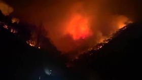 경북 안동 야산에 산불...250명 대피