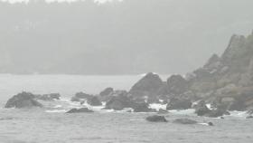 [날씨] 오늘 전국 장맛비...곳곳 국지성 호우·해안가 강풍