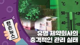 [15초 뉴스] 거미줄에 새똥까지...유명 제약사의 충격 관리 실태