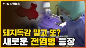 [자막뉴스] 중국에서 또...돼지독감 이어 새로운 전염병 발생