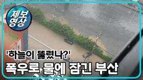 [제보영상] 부산 '물 폭탄' 피해 속출