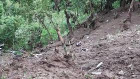 네팔 장마로 잇단 산사태...이틀 사이 최소 16명 사망·45명 이상 실종