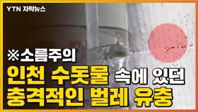 [자막뉴스] 벌레 유충이 '둥둥'...비상 걸린 인천 수돗물