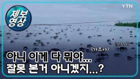 [제보영상] 서울 한강에서 이게 가능한 일인가...?